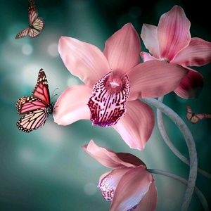 Meet your Posher, Liz